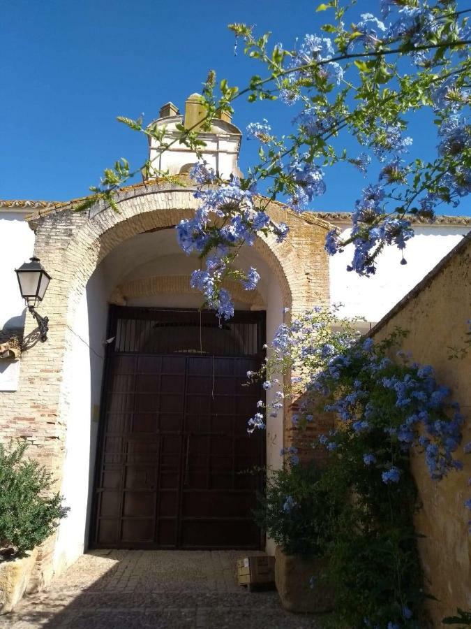 Hacienda Jinetes Hotel 4*